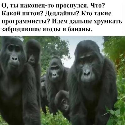 Прикрепленное изображение: af559cd8-1e7b-4555-a289-d0e41b768a86.jpg